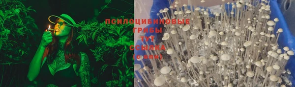 стафф Майский