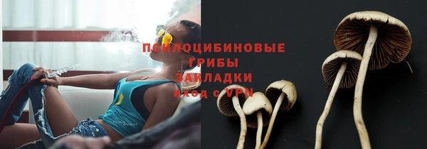ALPHA PVP Лихославль