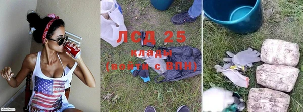 стафф Майский